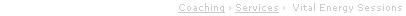 Coaching › Services ›  Vital Energy Sessions      
 Programs 